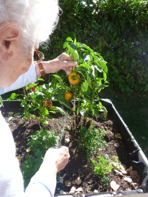 l'arca cdi Girasole 