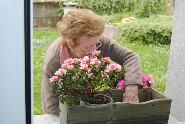 l'arca cdi Bette giardinaggio